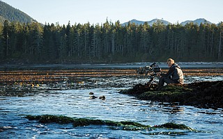 Bertie Gregory documenting West Coast Wolves in Canada.