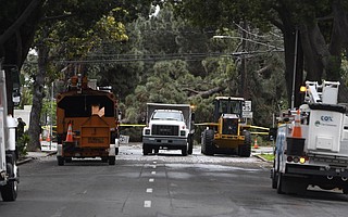 Rain-saturated grounds and gusty winds brought down a pine tree across De la Vina Street at De La Guerra Street on Monday, causing damage to power and communication lines as well as at least two vehicles.