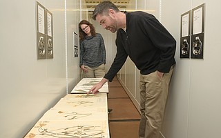 Botanic Garden scientists Dr. Denise Knapp and Dr. Matt Guilliams look over the herbarium’s collection of California poppies. The multiple specimens, the oldest of which dates back to 1878, allow researchers to track physical attributes of the plant through time.
